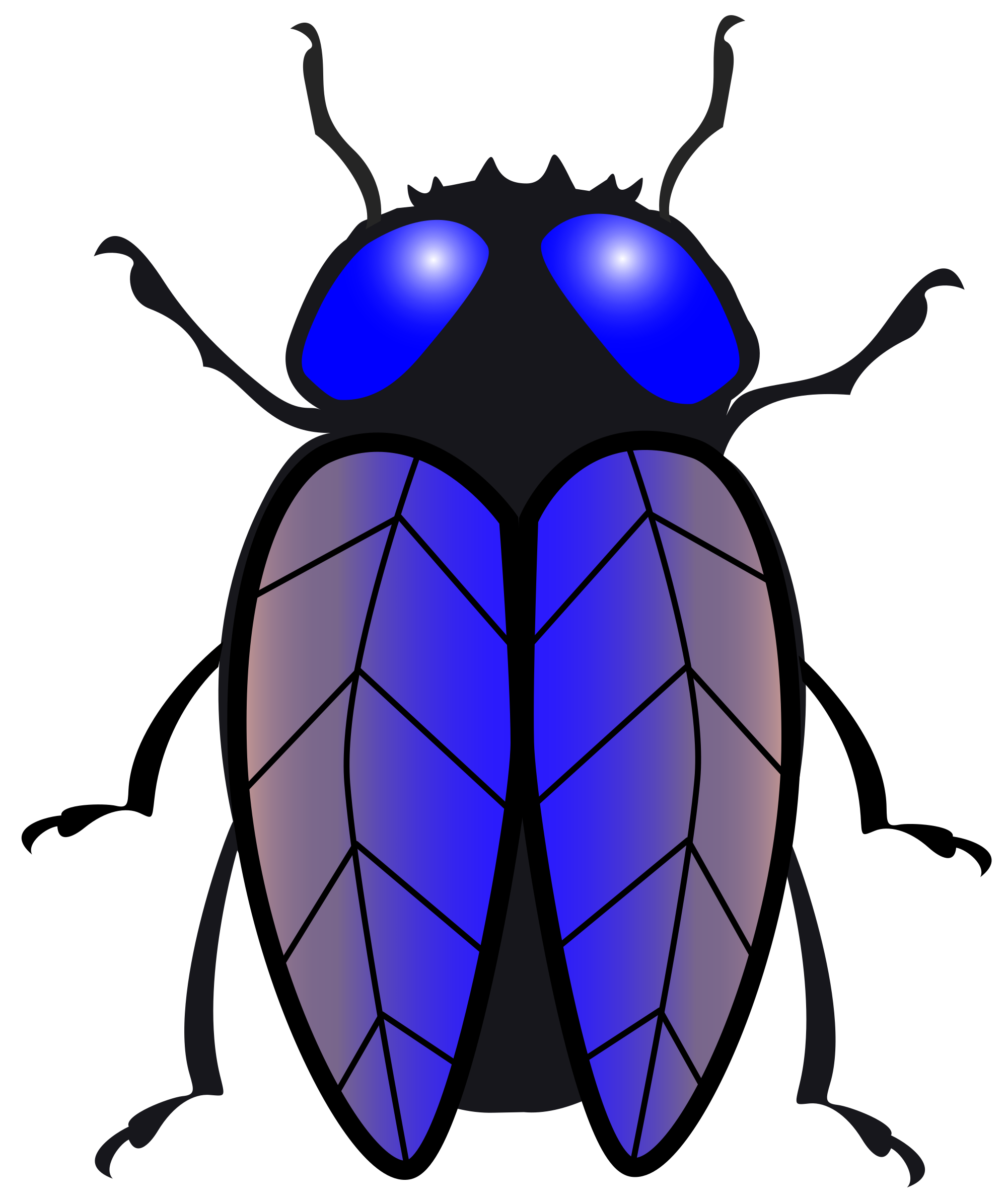 flies clipart beetle