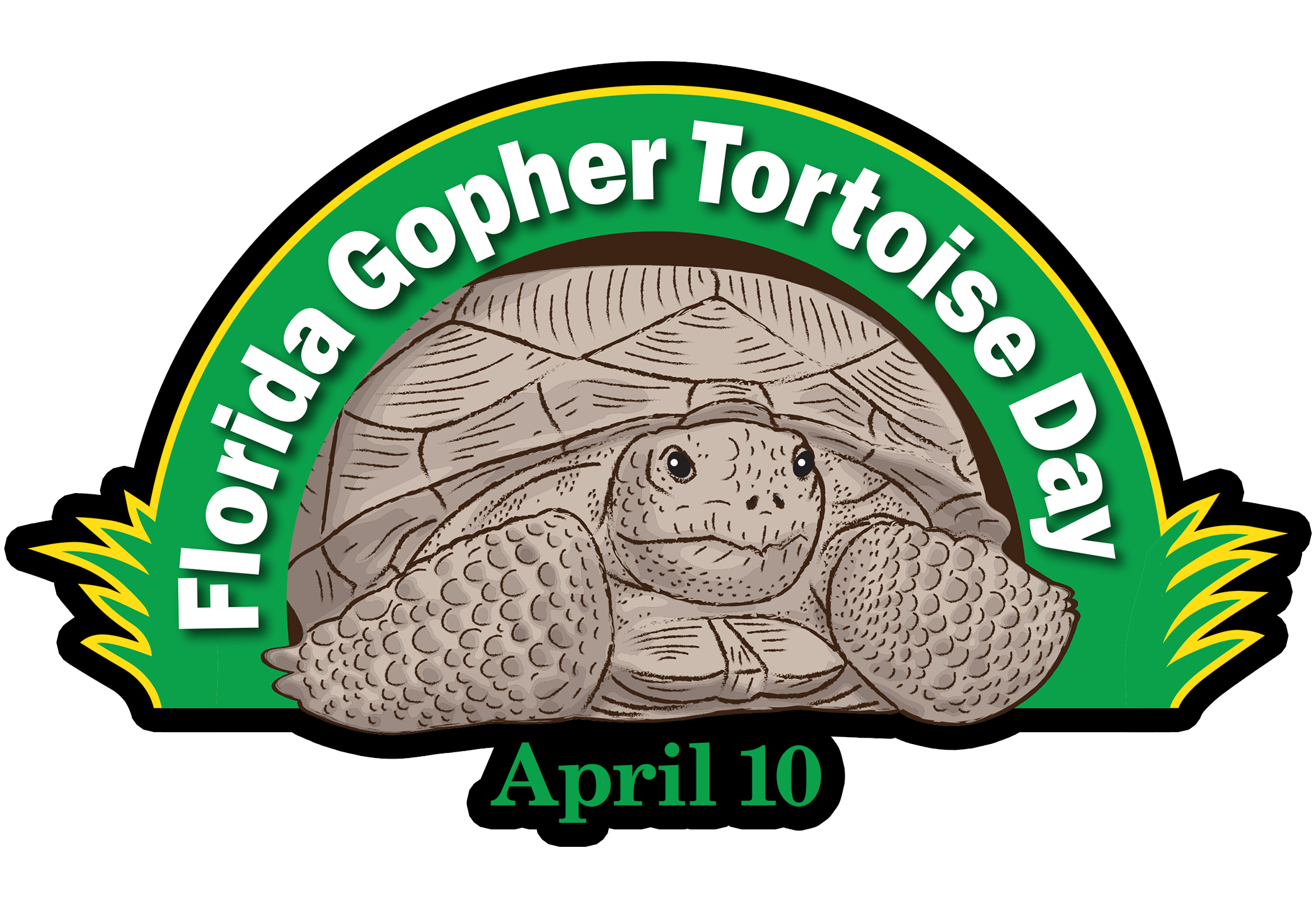 Get involved tortoise day. Hole clipart gopher