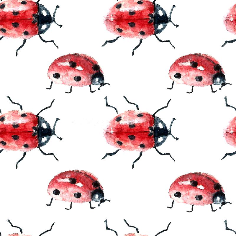February clipart ladybug. Collection of free beetle