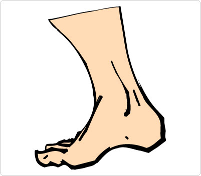 legs clipart ankle