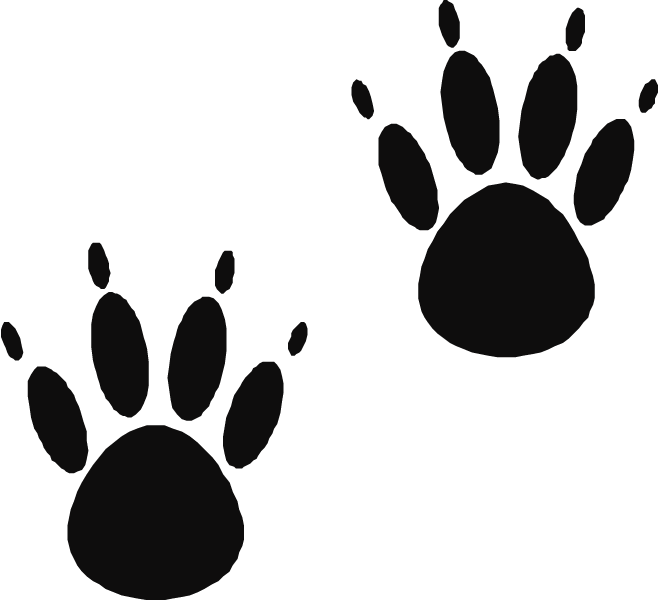 Footsteps clipart black and white. Bear paw panda free