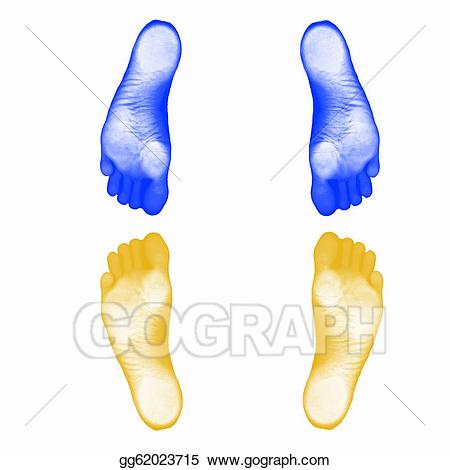 Stock illustration prints of. Feet clipart human foot