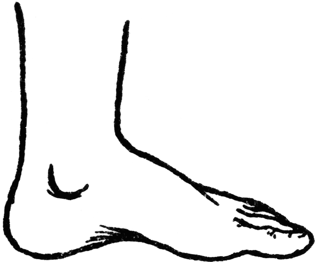 leg clipart foot outline