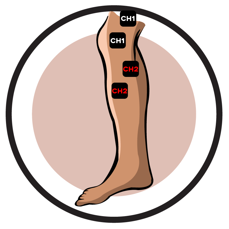 feet clipart lower limb