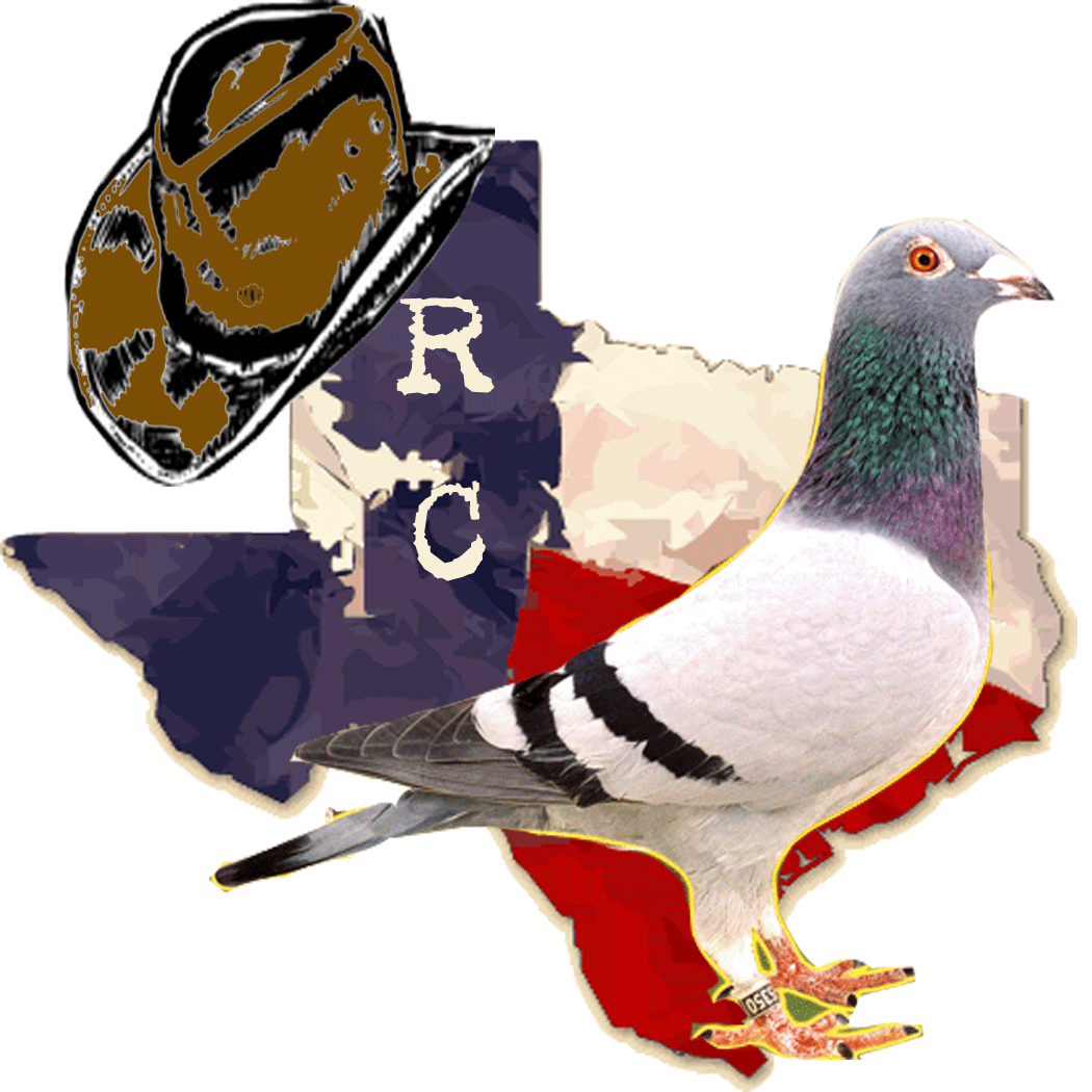 Pigeon clipart carrier pigeon. American racing union texas