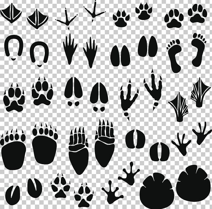 foot clipart raccoon