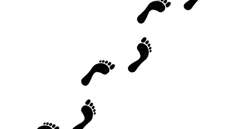 Free download clip art. Feet clipart student