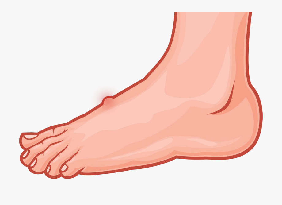 foot clipart human foot