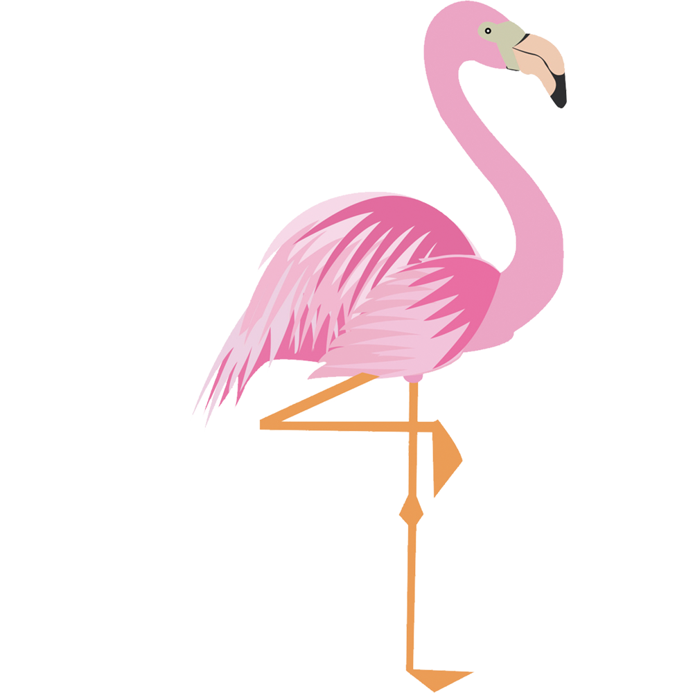 female clipart flamingo