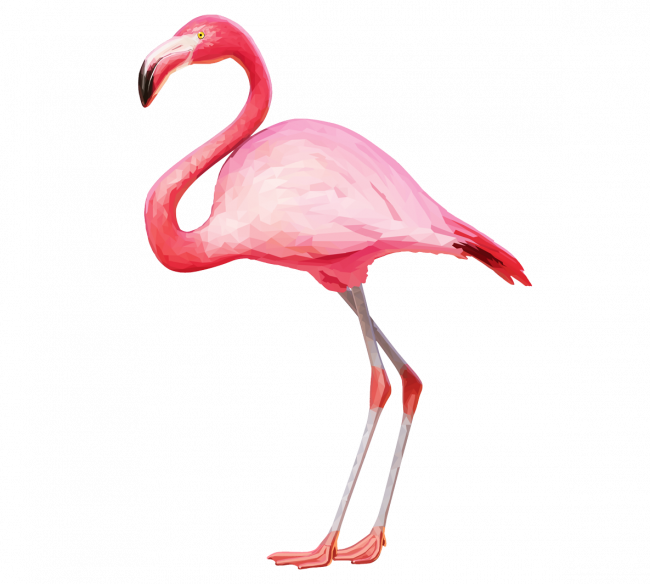 flamingo clipart outline