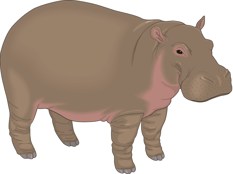 hippopotamus clipart girl hippo