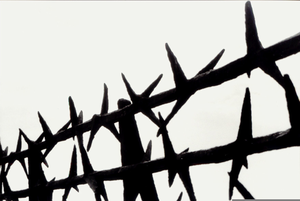 fence clipart holocaust