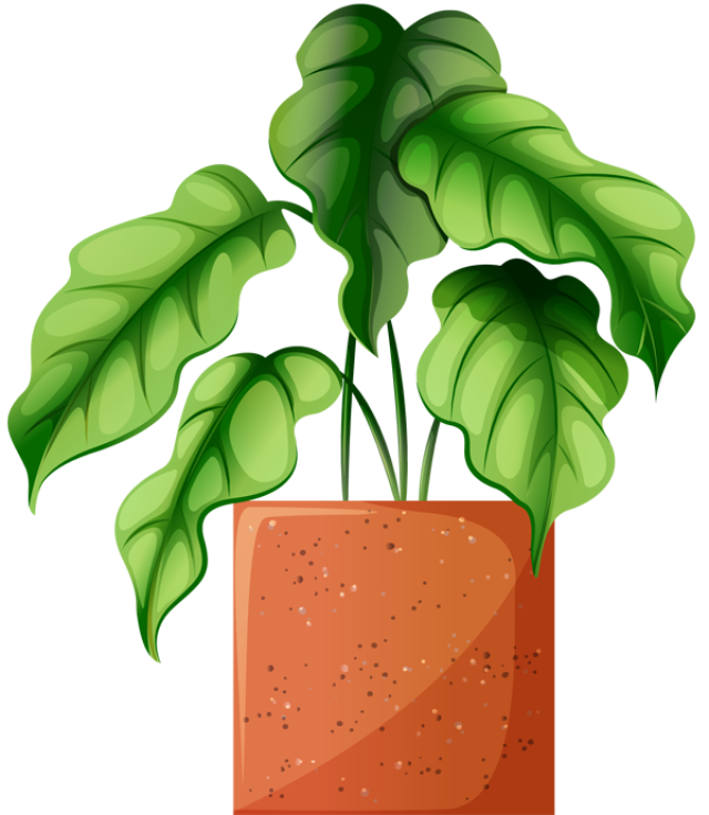  plants watering the. Plant clipart garden plant