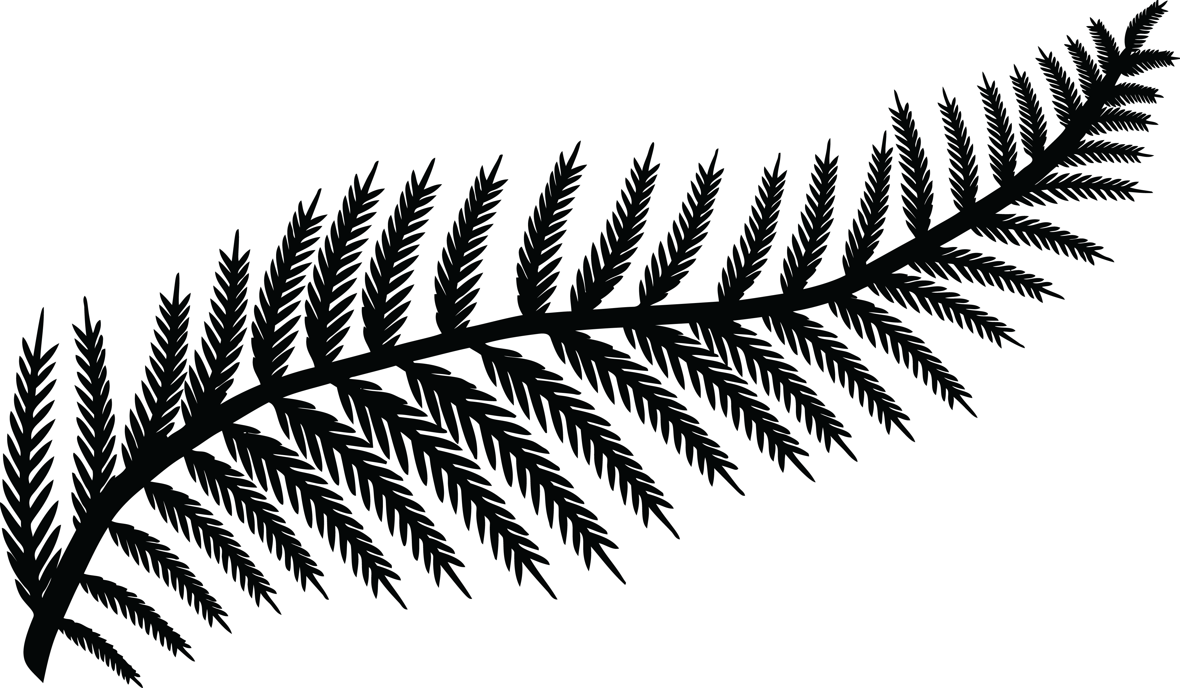 fern clipart animated