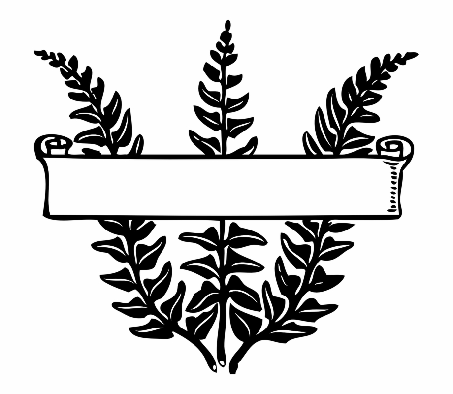 Ribbon leaves plant stalks. Fern clipart banner