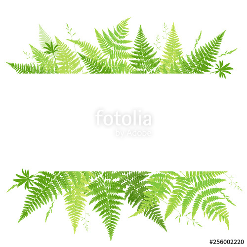 Fern clipart banner. Frame with leaves template