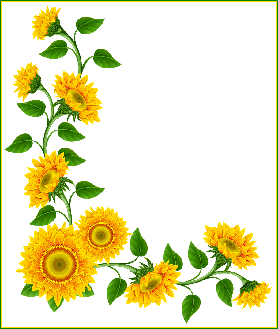 Shocking sunflower decoration png. Fern clipart border