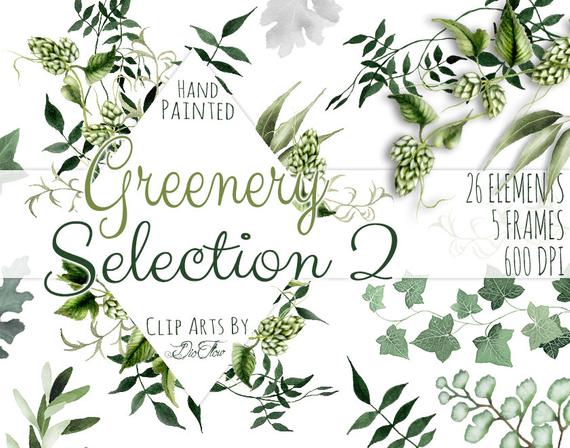 Greenery leaves leaf vines. Woodland clipart foliage