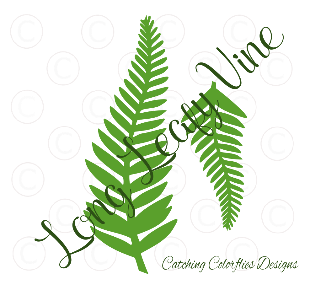 fern clipart leafy vine