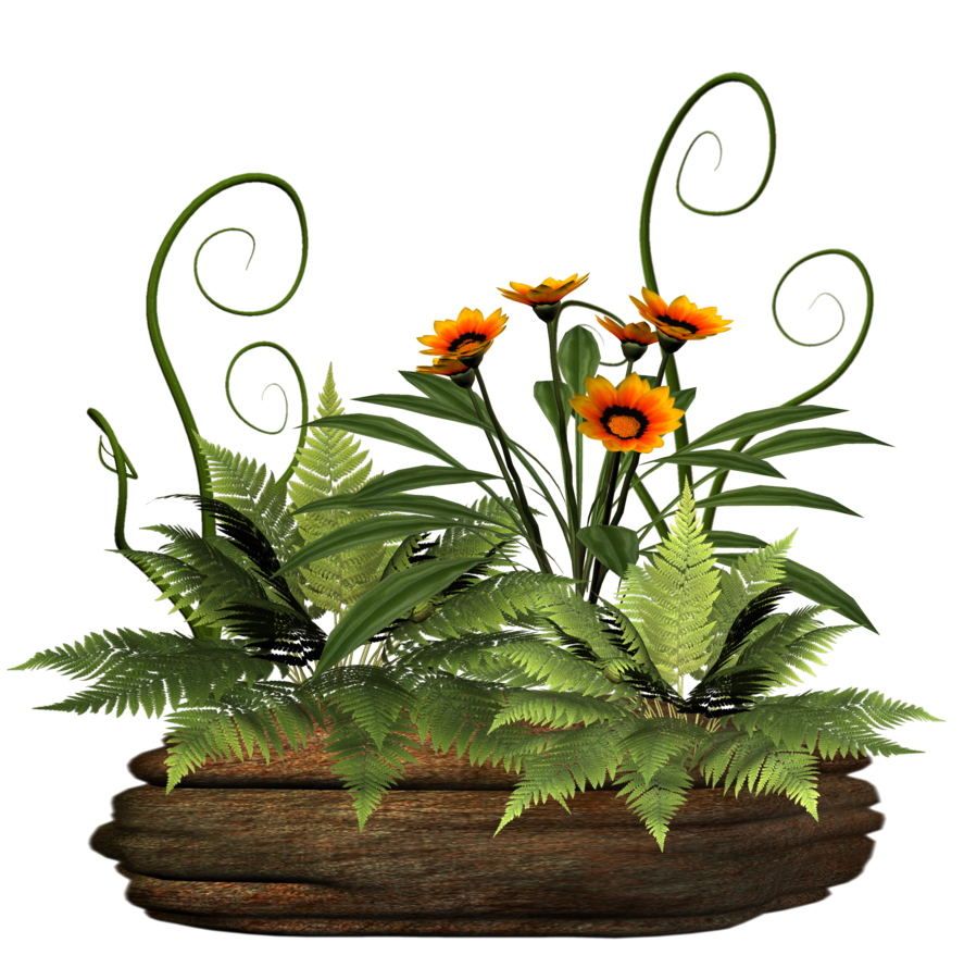 Plant stock by collect. Fern clipart planter