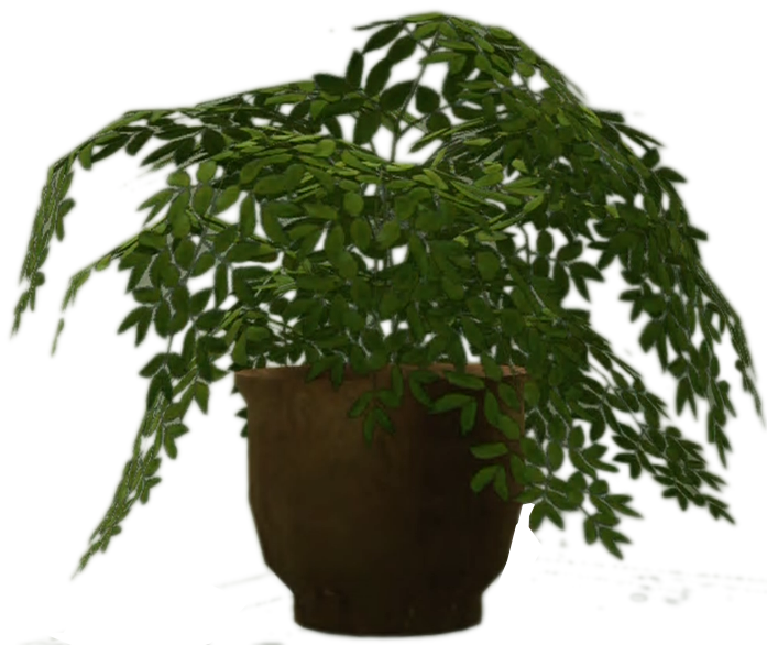 fern clipart potted fern