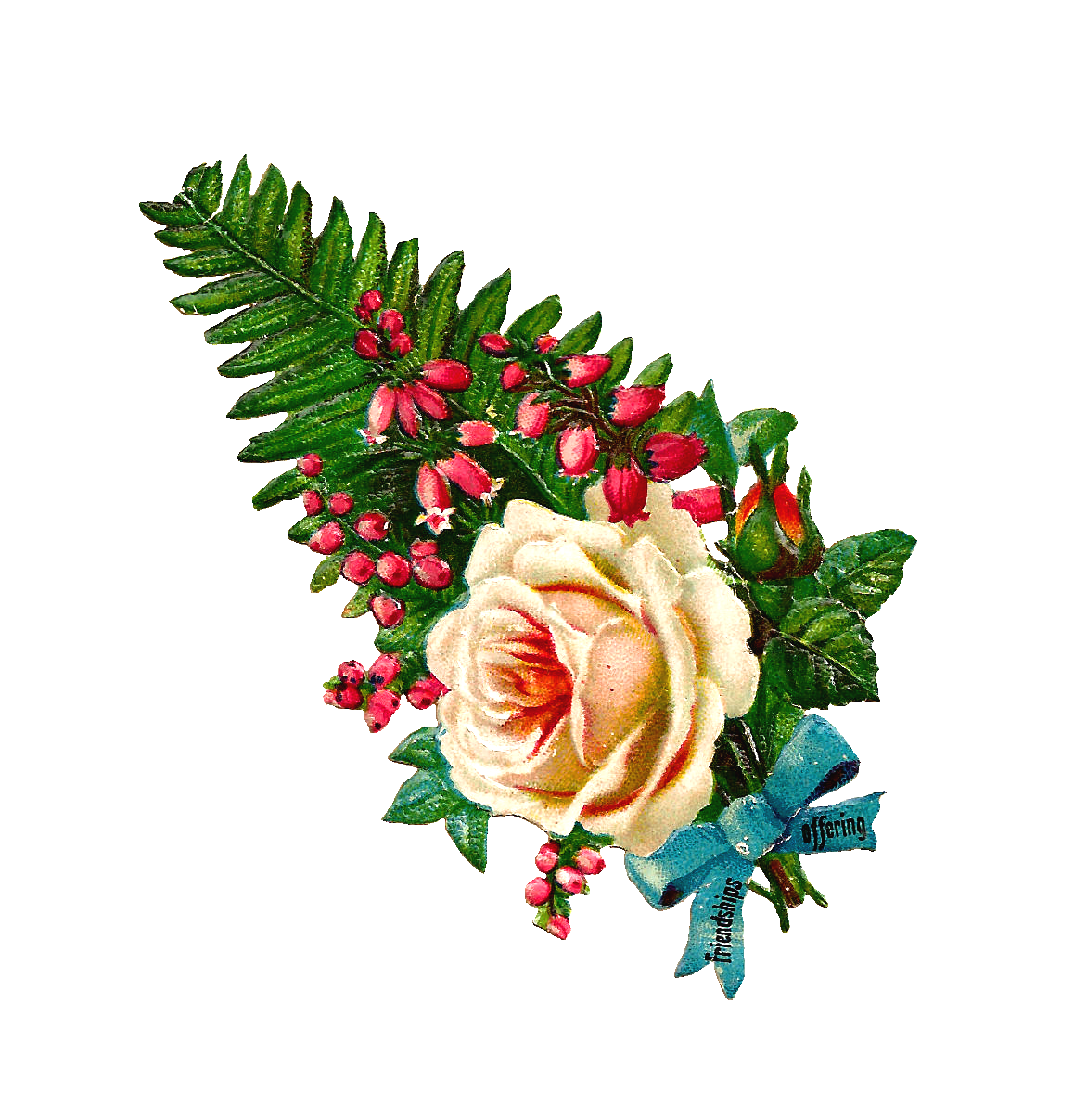 Antique images free printable. Fern clipart red fern