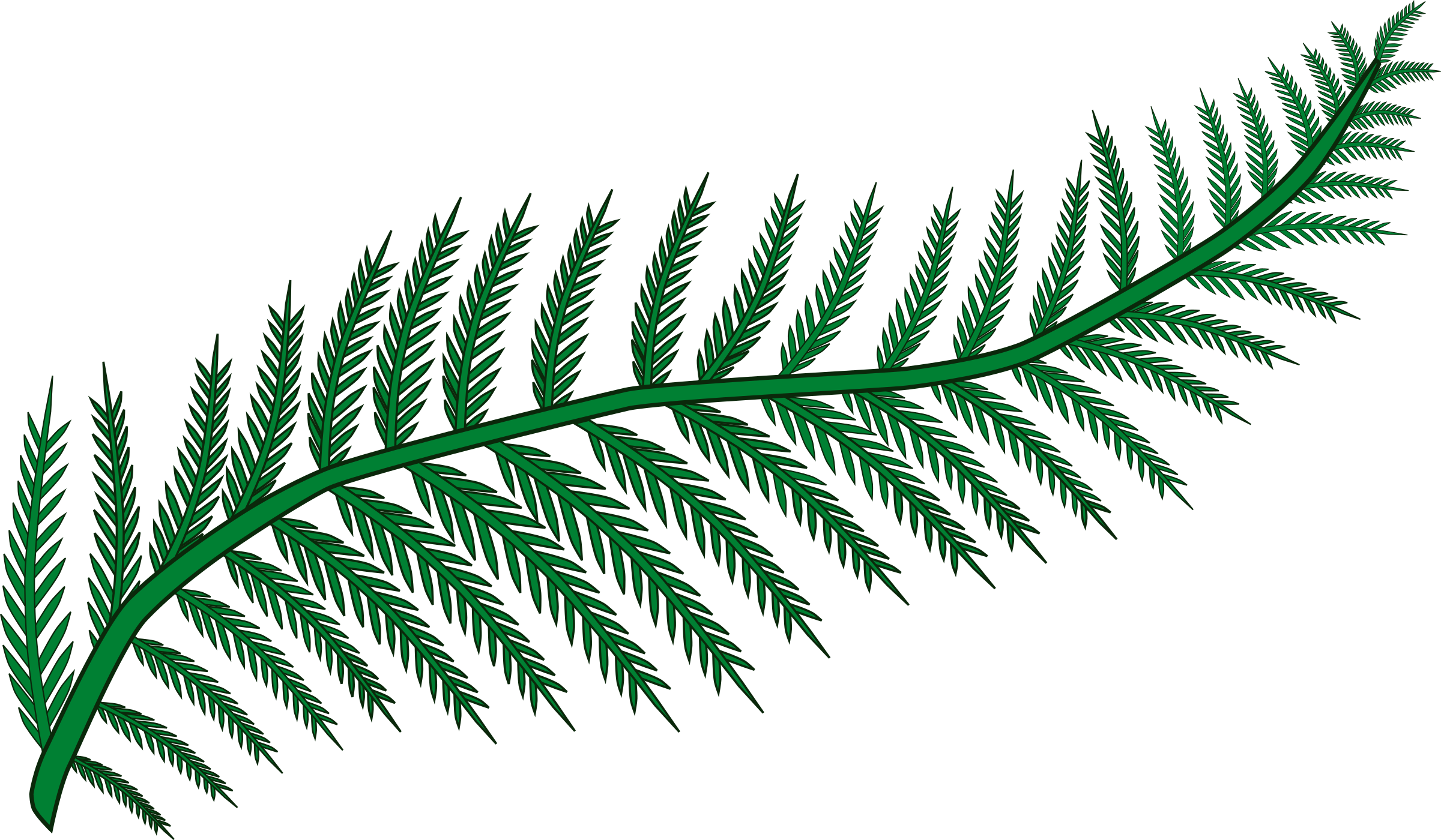 Woodland clipart frond.  collection of fern