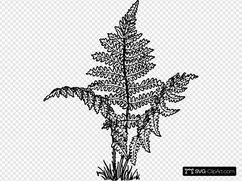 Plant clip art icon. Fern clipart small