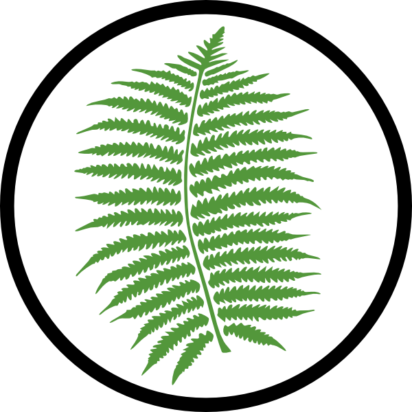 fern clipart terrestrial plant