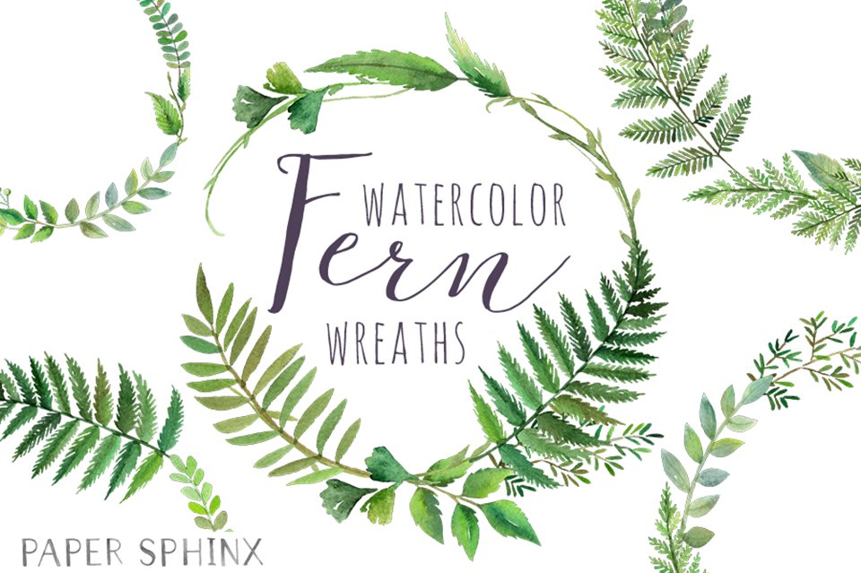 fern clipart watercolor
