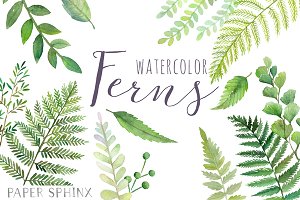 fern clipart watercolor