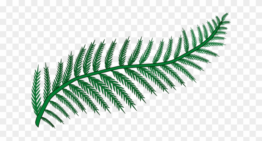 Branch forest frond plant. Fern clipart woodland