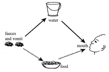 Fever clipart cholera symptom. Communicable diseases module bacterial