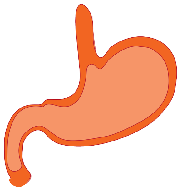 gas clipart digestive system