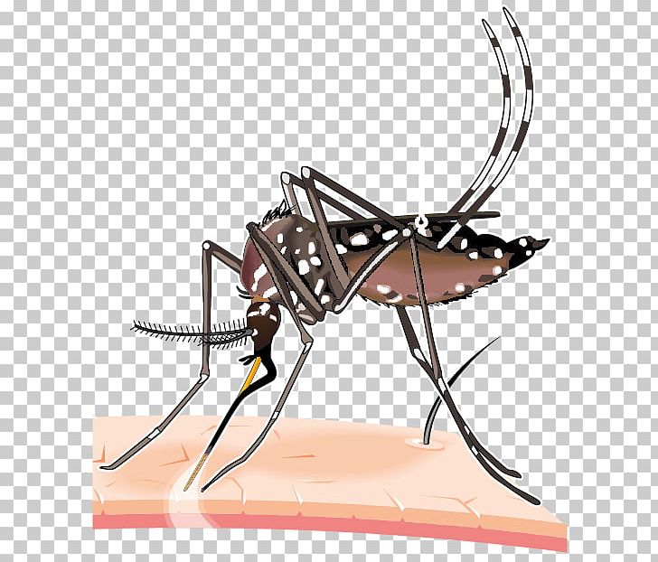  zika virus epidemic. Fever clipart epidemics