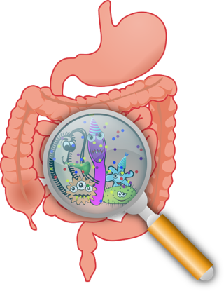 germs clipart gut bacteria