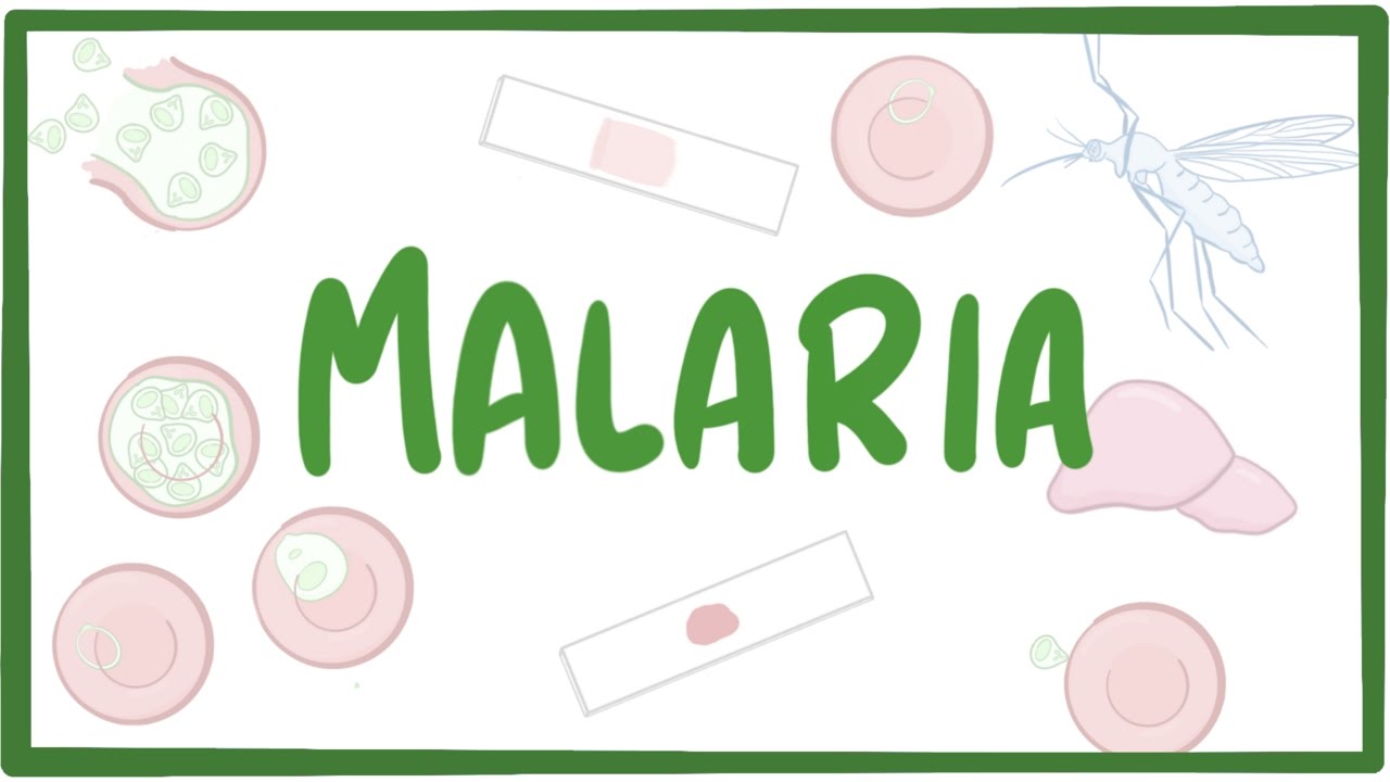 Fever clipart malaria symptom. Causes symptoms diagnosis treatment