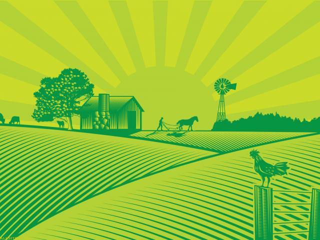 field clipart agricultural field