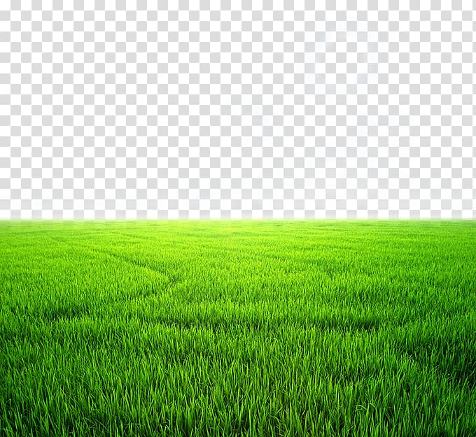 field clipart beautiful background