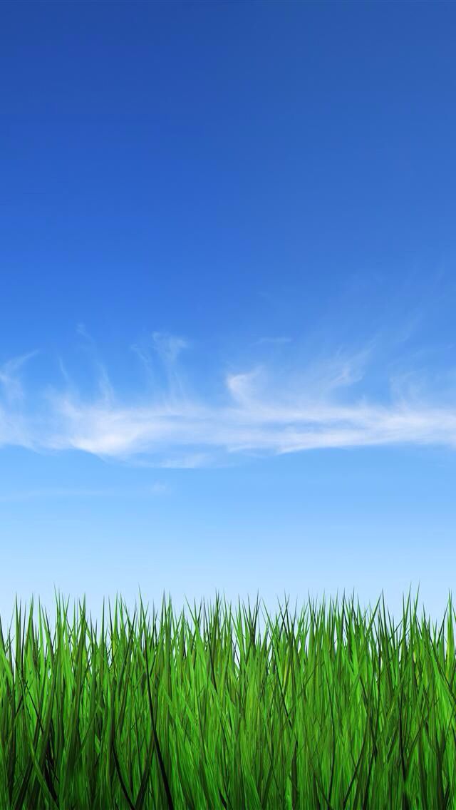 Grass clipart blue background. Sky and green lock