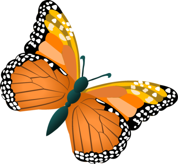field clipart butterfly