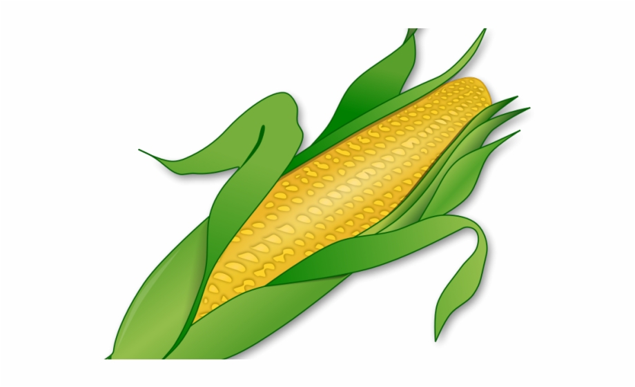 field clipart corn