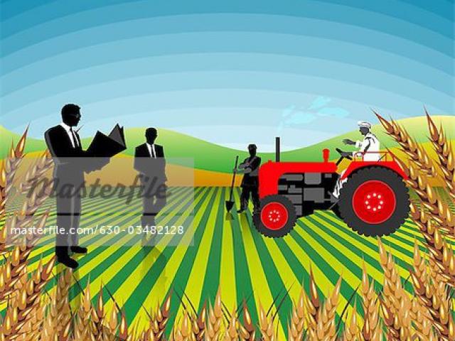 field clipart crop production