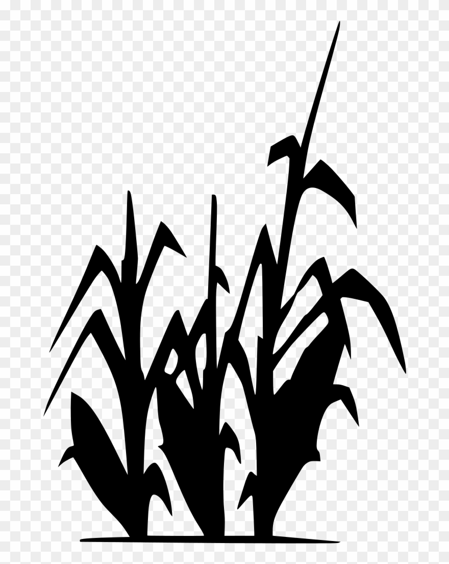 grain clipart curved