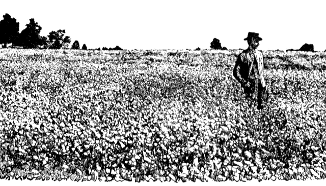 Buckwheat etc . Field clipart farmer field