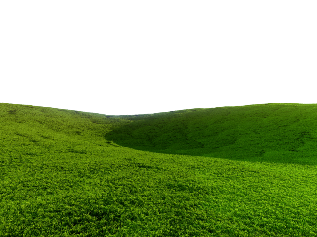 Field field background