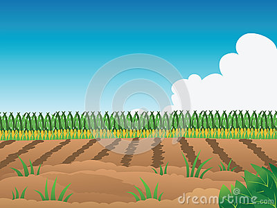 field clipart filed