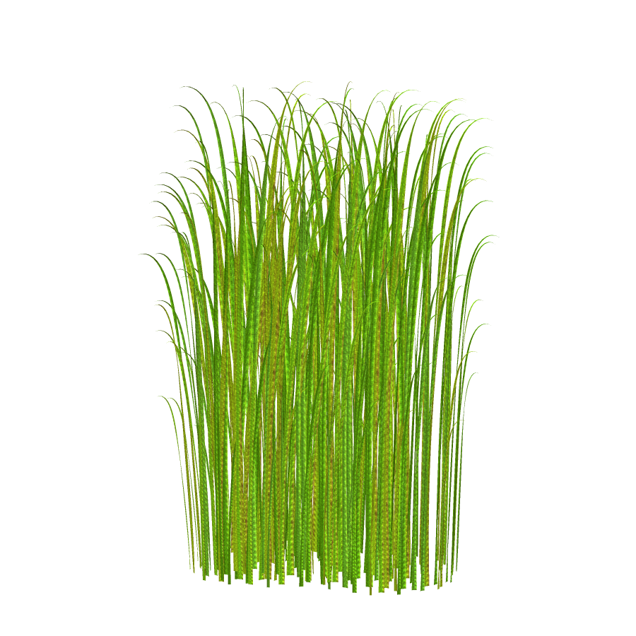 Field clipart grassy area. Grass free clip art