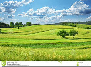 Field clipart grassy area. Free images at clker