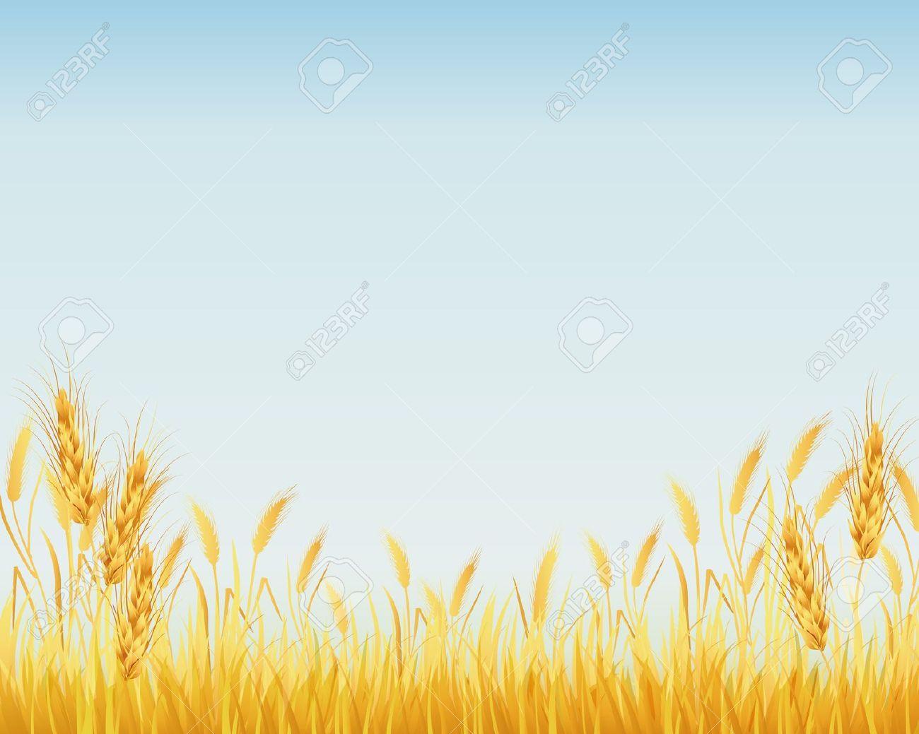 field clipart harvest field